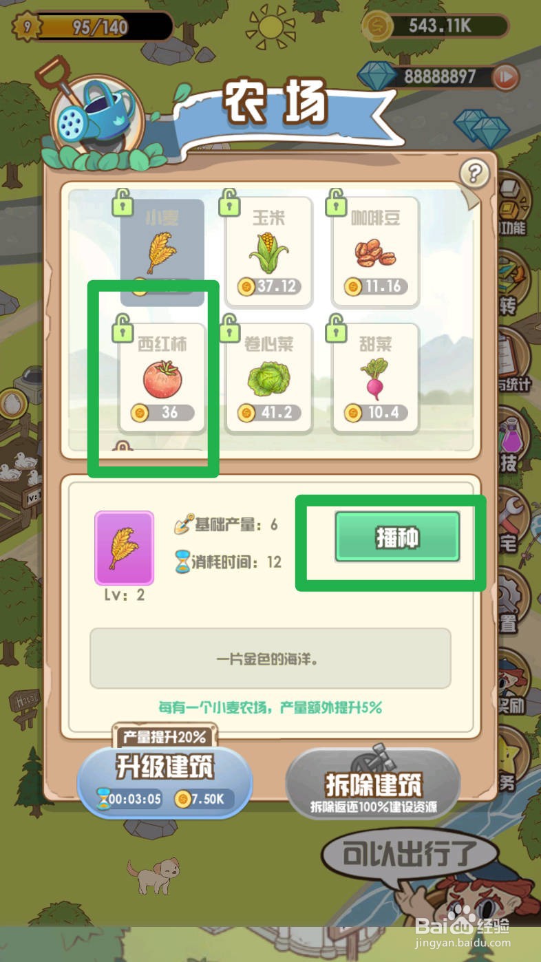 花语农场如何种植西红柿