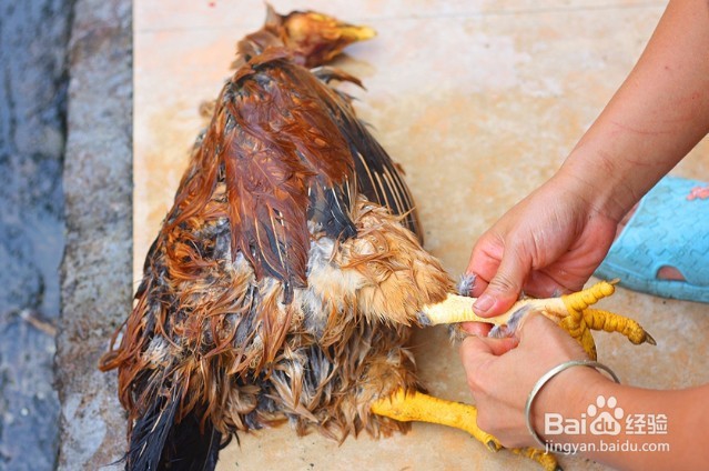 这菜城里吃不到,现宰现做40分钟上桌