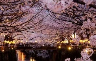 如何追求自己喜欢的人