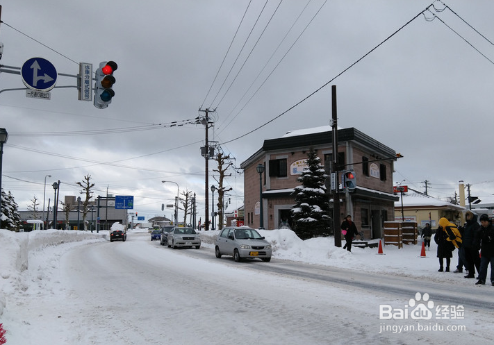 一条性价比爆棚的万元以下日本北海道观雪路线