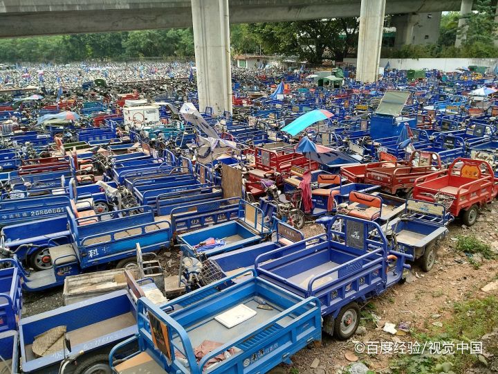 电动三轮车驾驶证怎么考