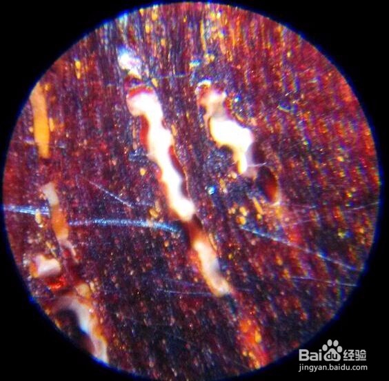 小叶紫檀真假金星鉴定