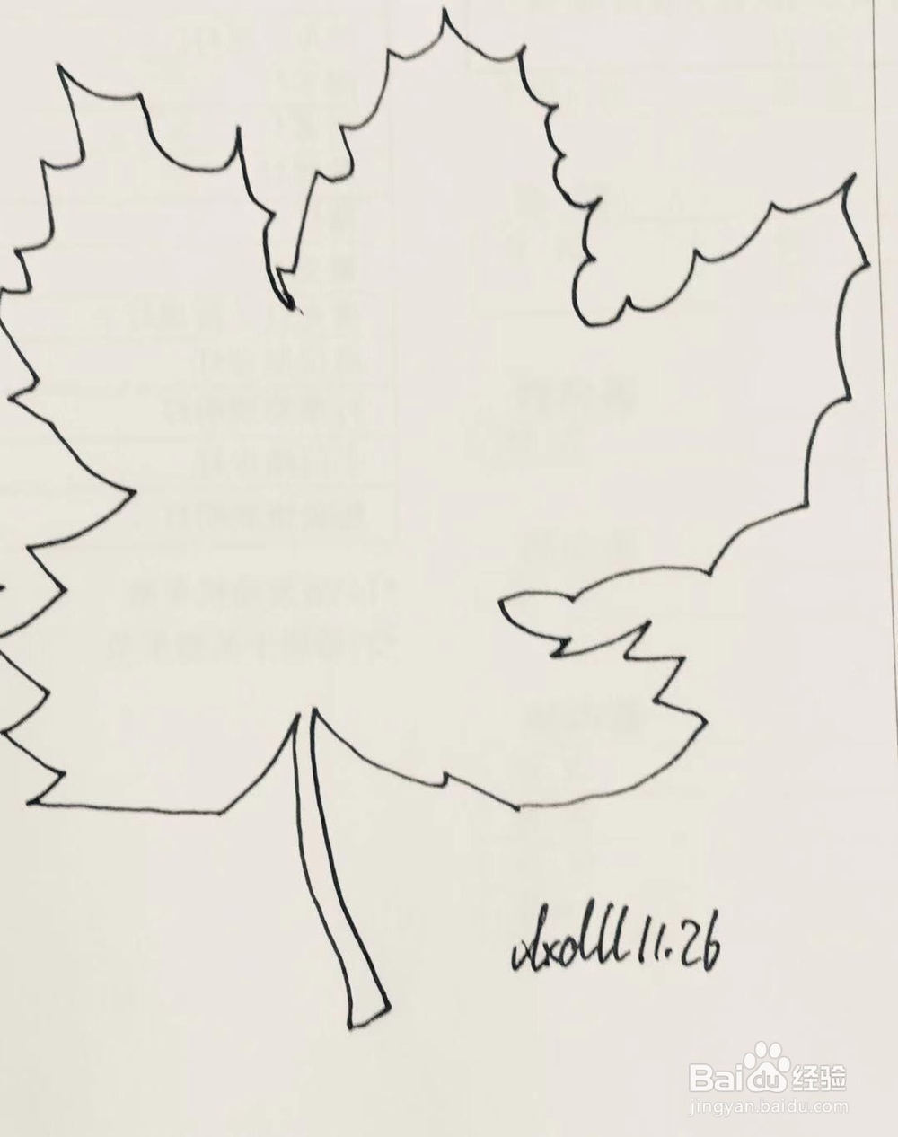 简笔画教程之叶子