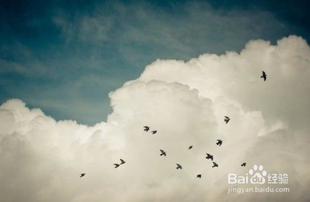 如何去修改一篇作文