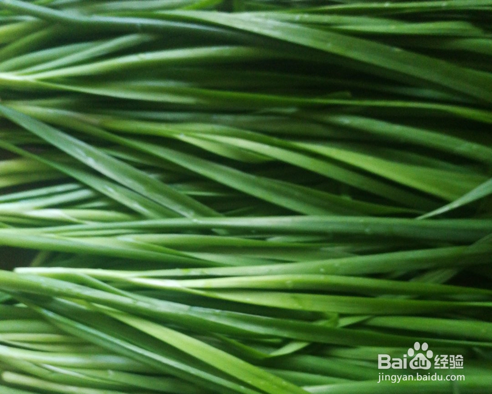 花式做-韭菜盒子的教程