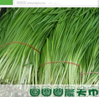 怎样做韭菜鸡蛋馅的饺子