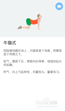 全身7x4挑战（运动：19）（第三周：第18天）