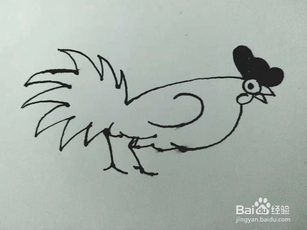 公鸡的简笔画法《四》