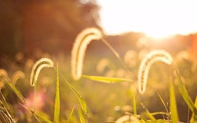 如何做好一名新生班级辅导员