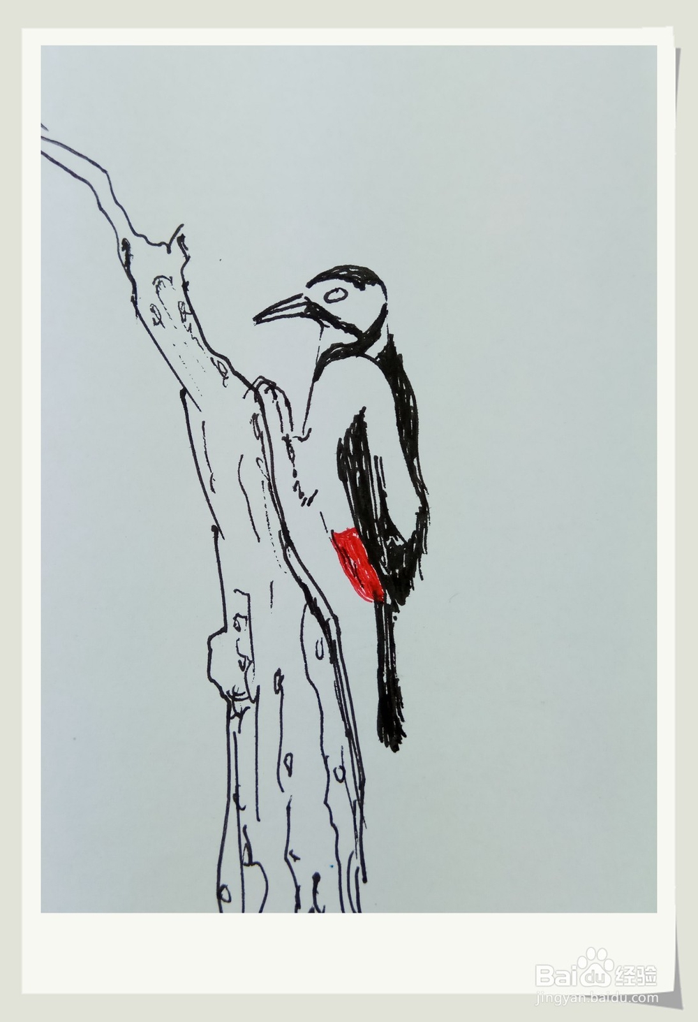 怎样画简笔画“啄木鸟”？