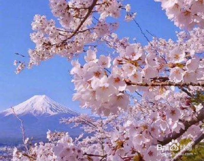 去日本一定要去的地方！
