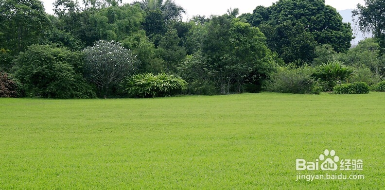 第一次的感觉你记得之开始重视身体。