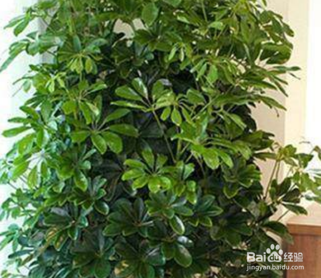 怎样才能避免快速衰老