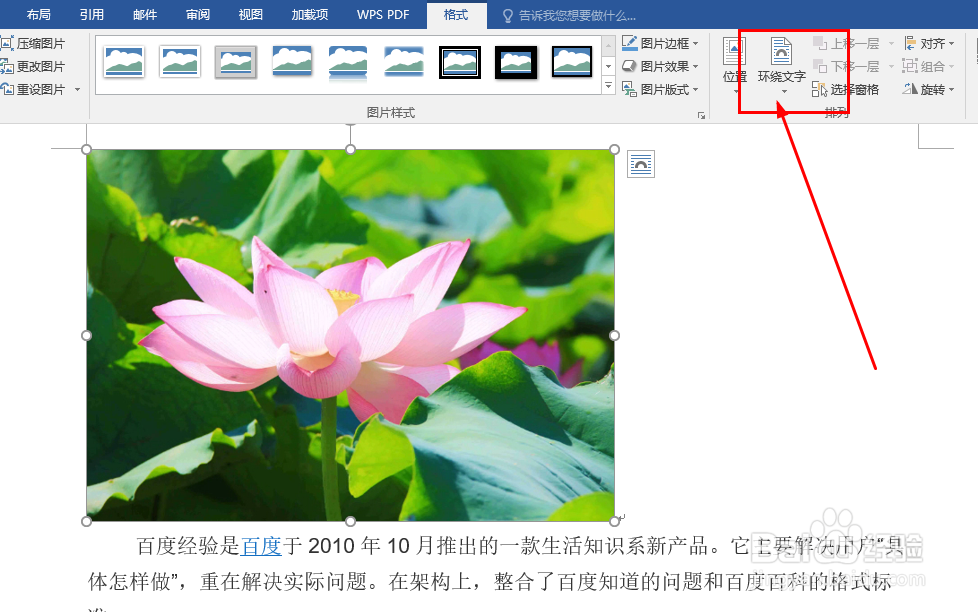 Word中如何设置图片排版样式