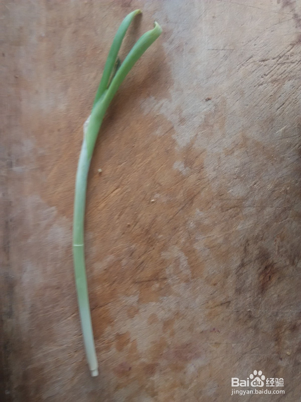 葱爆鸡蛋炒彩椒木耳