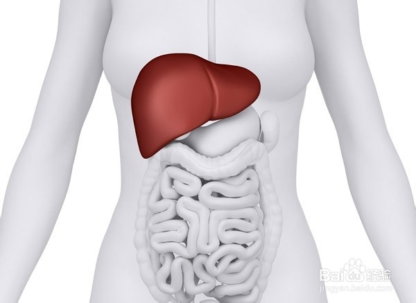 腿总是抽筋的处理和预防的好方法