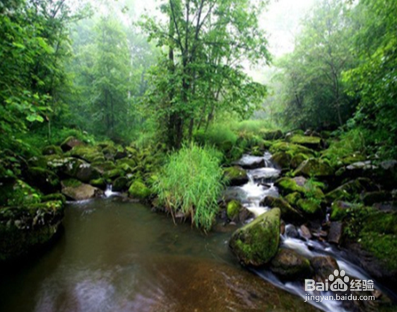 怎么选择十一的旅游圣地