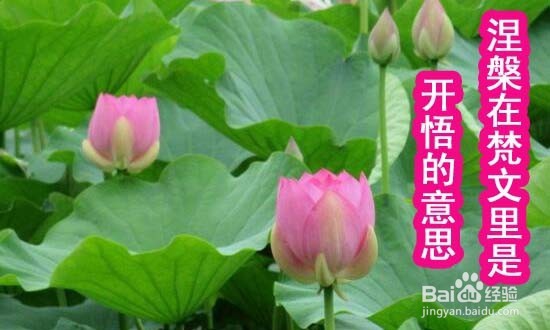 如何达到无我境界