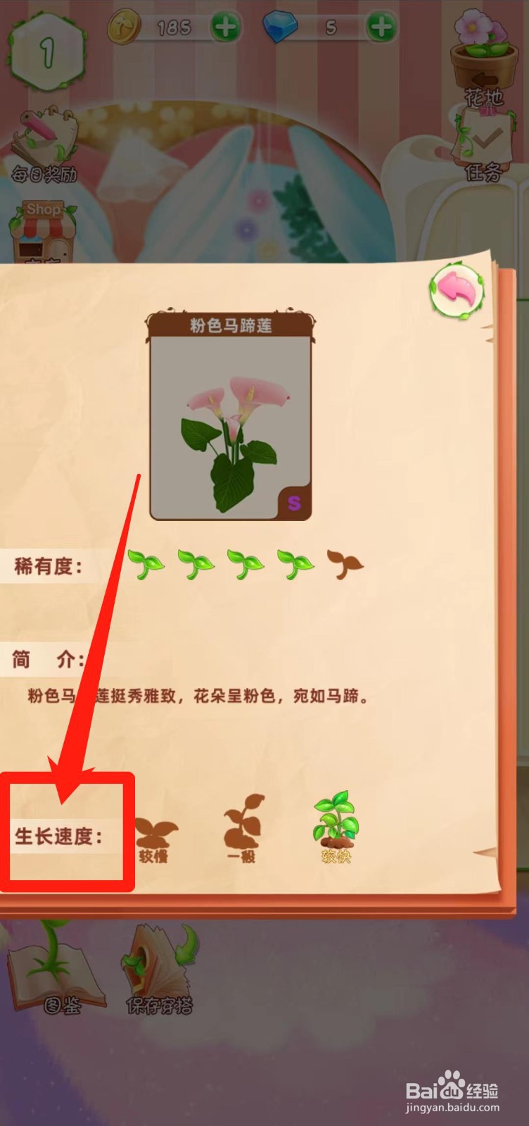 花花姑娘之魔法花园如何查看粉色马蹄莲生长速度