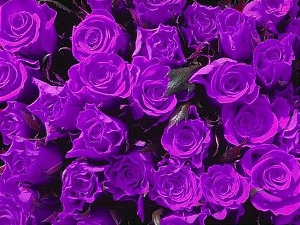 送女朋友礼物要了解，千万别送错咯！