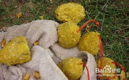 玉米钓鱼饵料做法
