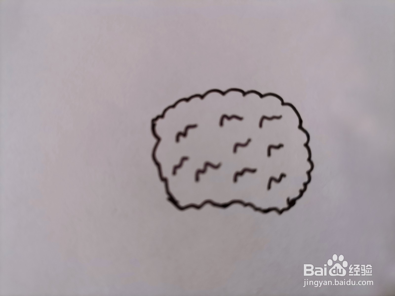 儿童简笔画 一棵花椰菜