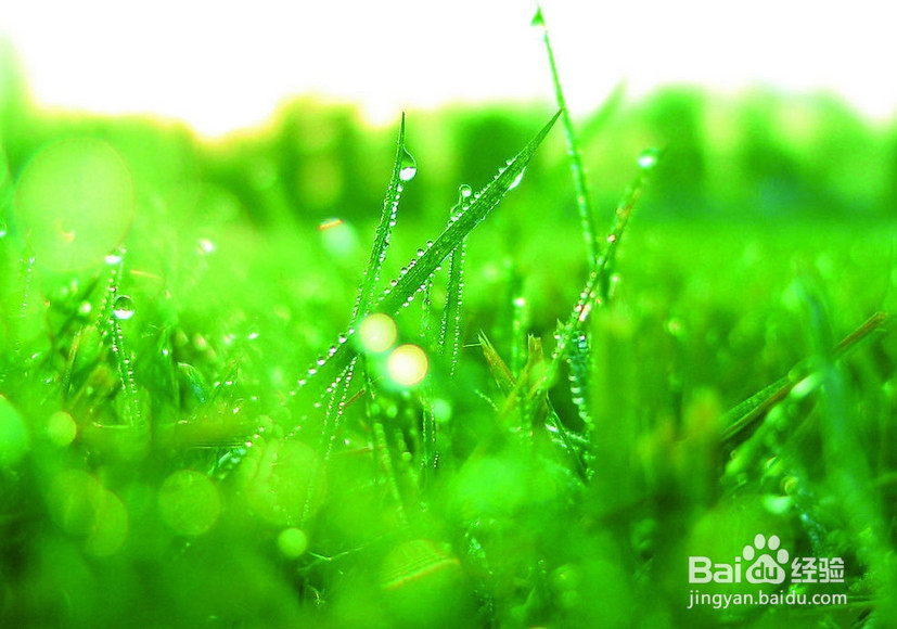 七彩颜色教你调节情绪的方法