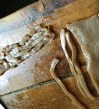 怎样制作减肥必备的低卡蔬菜土豆卷步骤