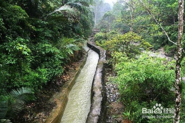 怎样预防山体滑坡