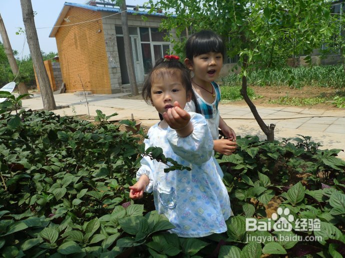 端午假期第二天