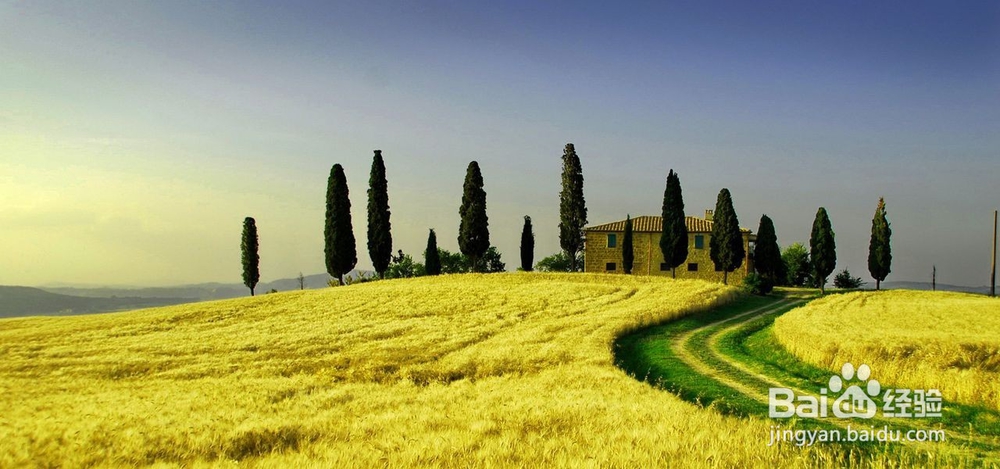 考研英语复习计划，2018考研党请收好！