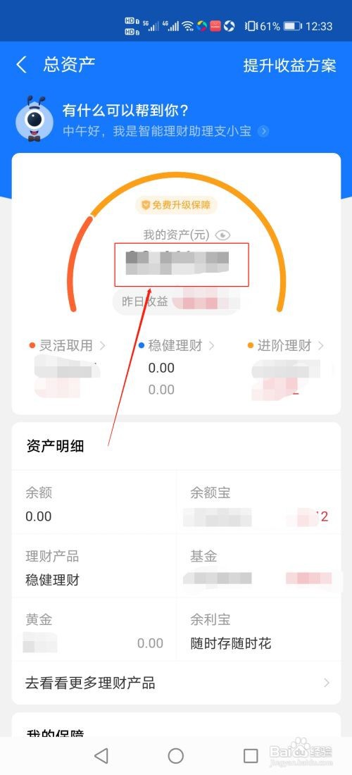 支付宝怎么查看总资产
