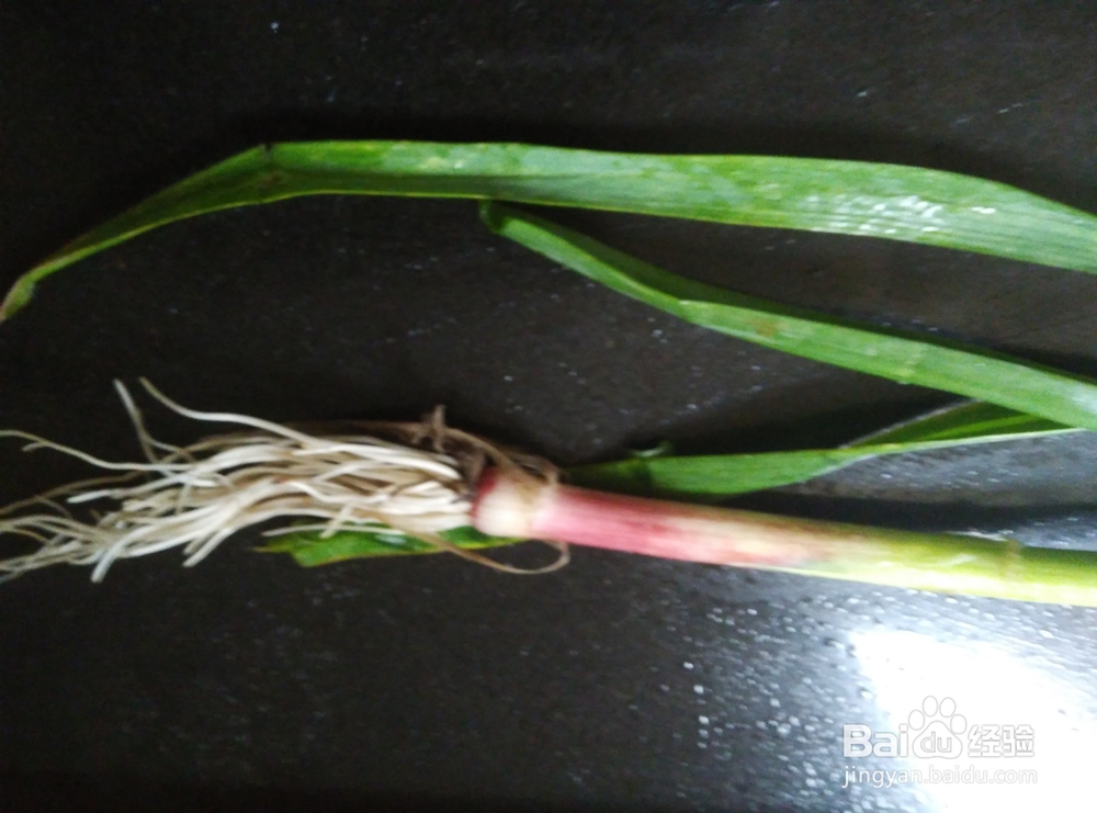 大芋头炒肉的做法