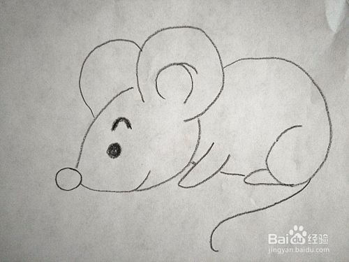 儿童简笔画卡通老鼠的画法