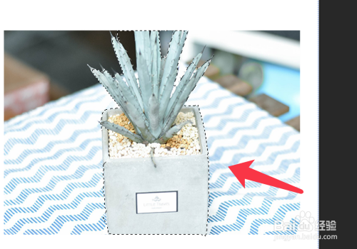 PS如何使用套索工具抠图