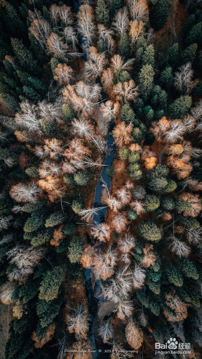 「北疆阿勒泰」——新疆以北,秋色之美