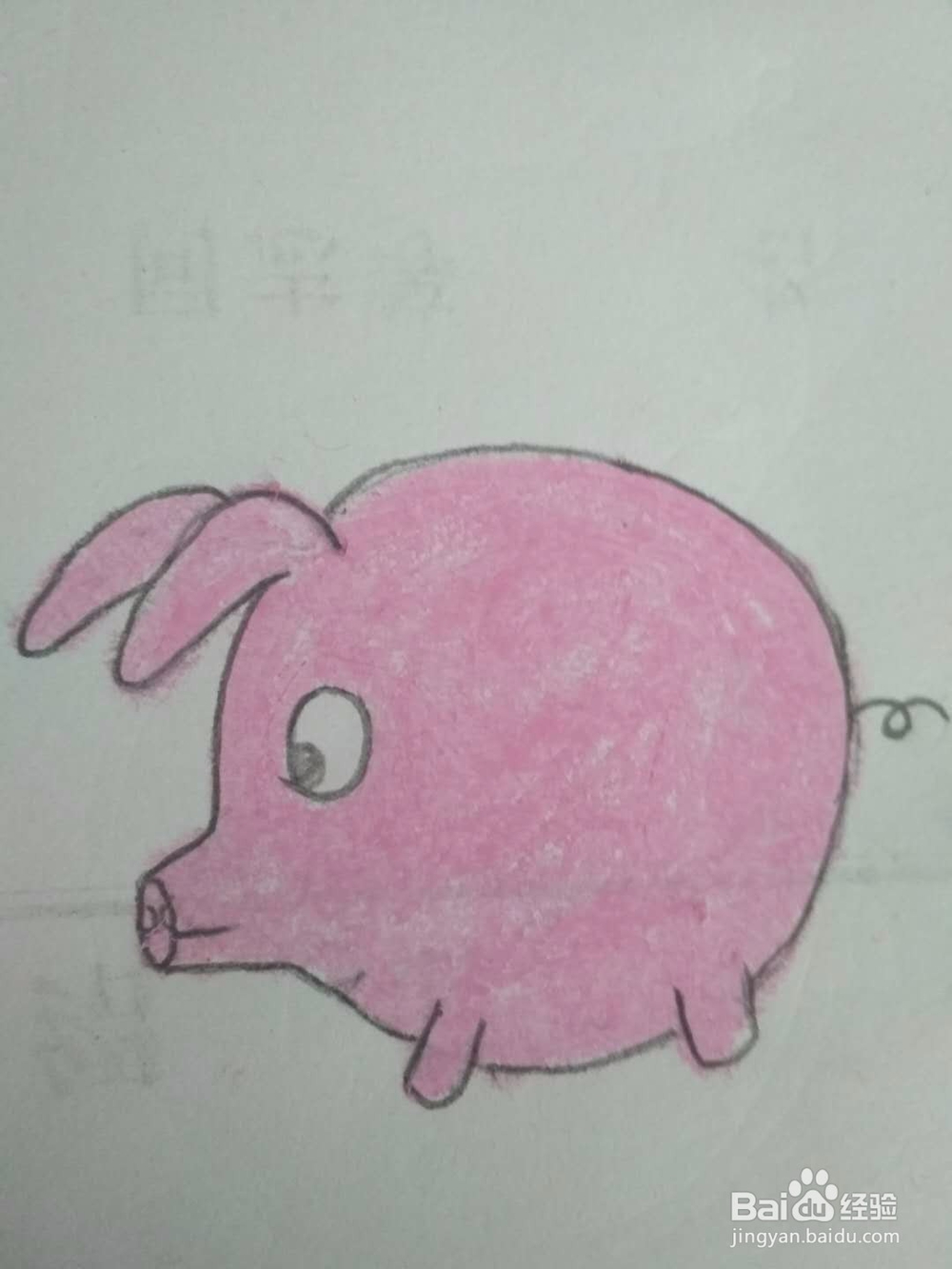 多妈简笔画动物一只胖嘟嘟的小猪