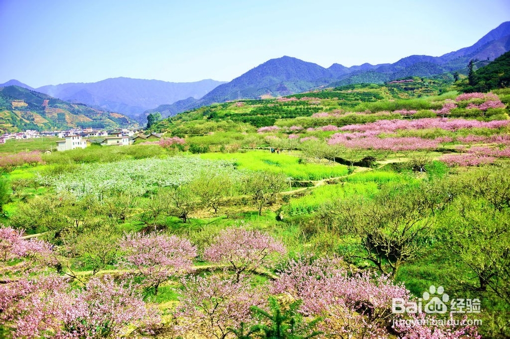 普者黑坝美旅游攻略