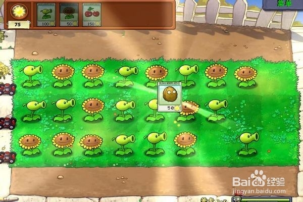 植物大战僵尸的攻略?(三)