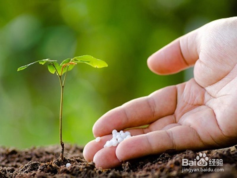 跑步要注意的事项