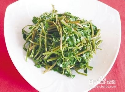 马齿苋妙用经验
