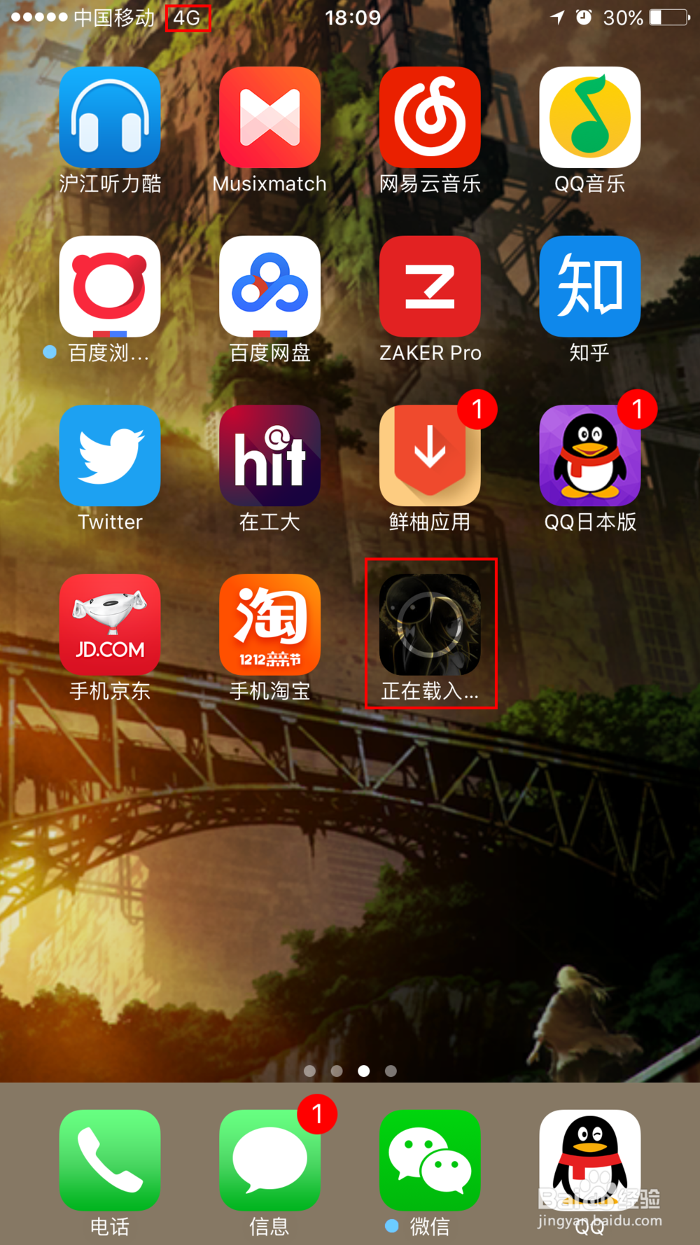 App Store使用4G网络下载大于100MB的App的方法
