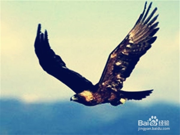 怎样赶走失恋的负面情绪