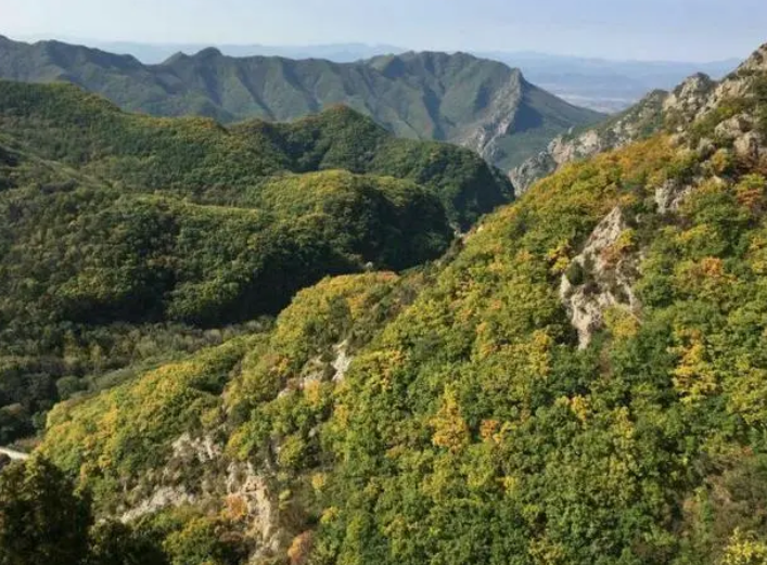 什么林叠翠怎么写