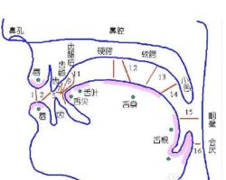 jqxy和u拼去掉两点的题