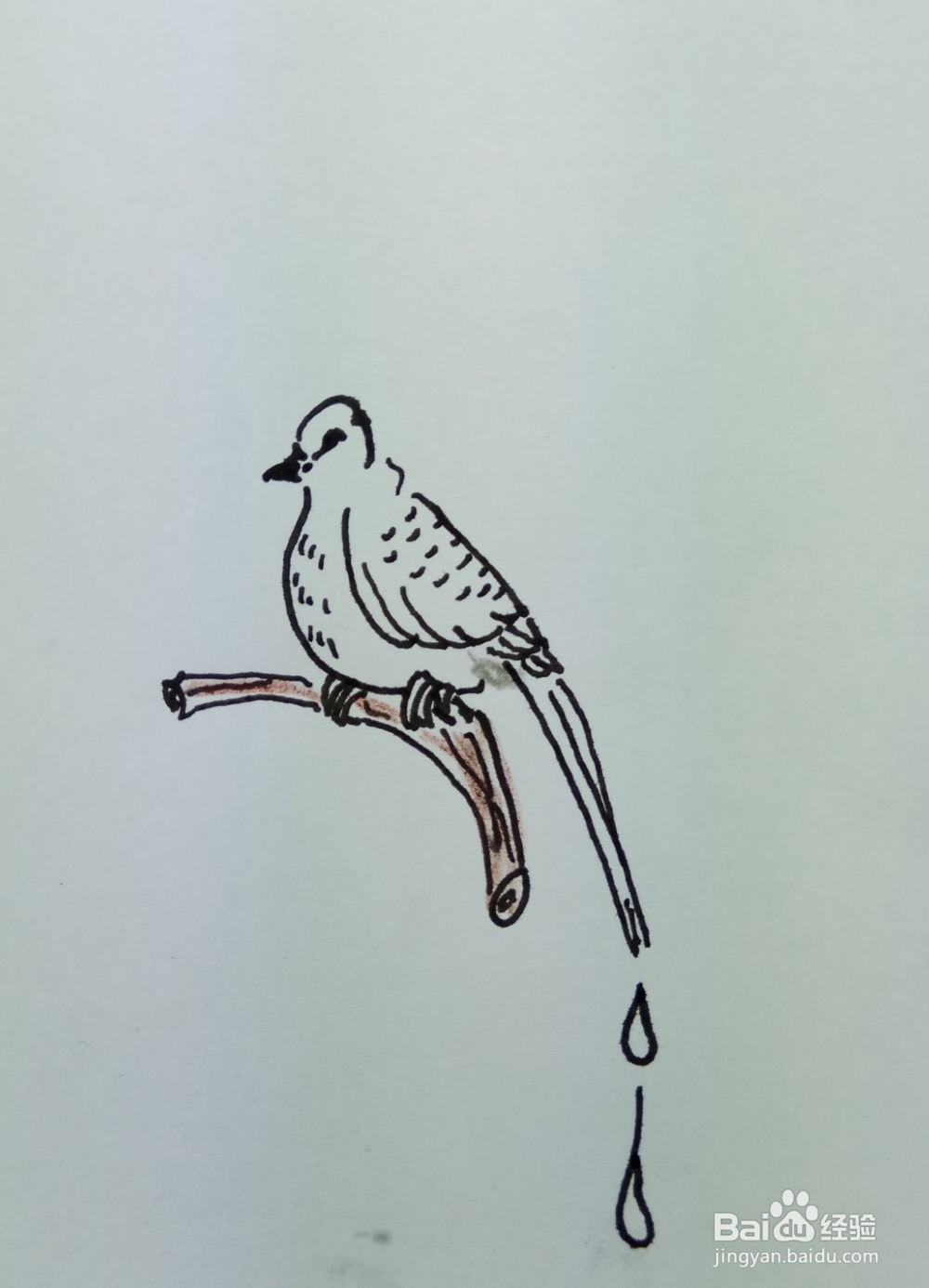 怎样画简笔画“风雨中的鸟儿”