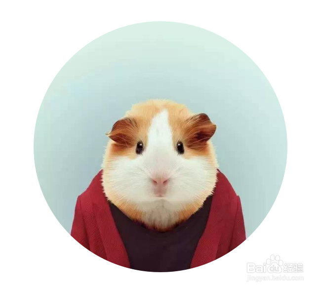 WPS WORD如何更改图片的形状