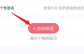 安卓版语玩如何设置个人标签