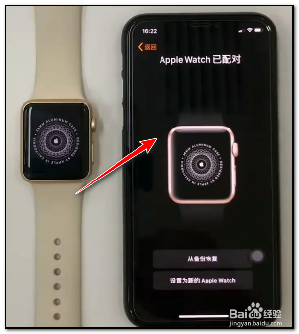 zepp连接苹果手表图片