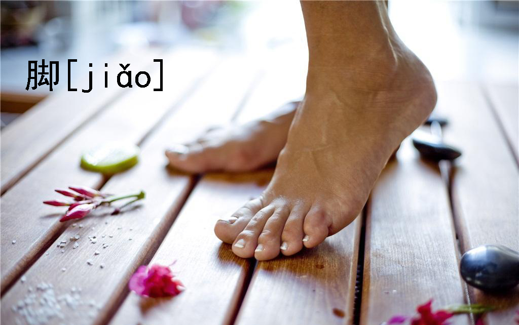 脚的音节是什么意思